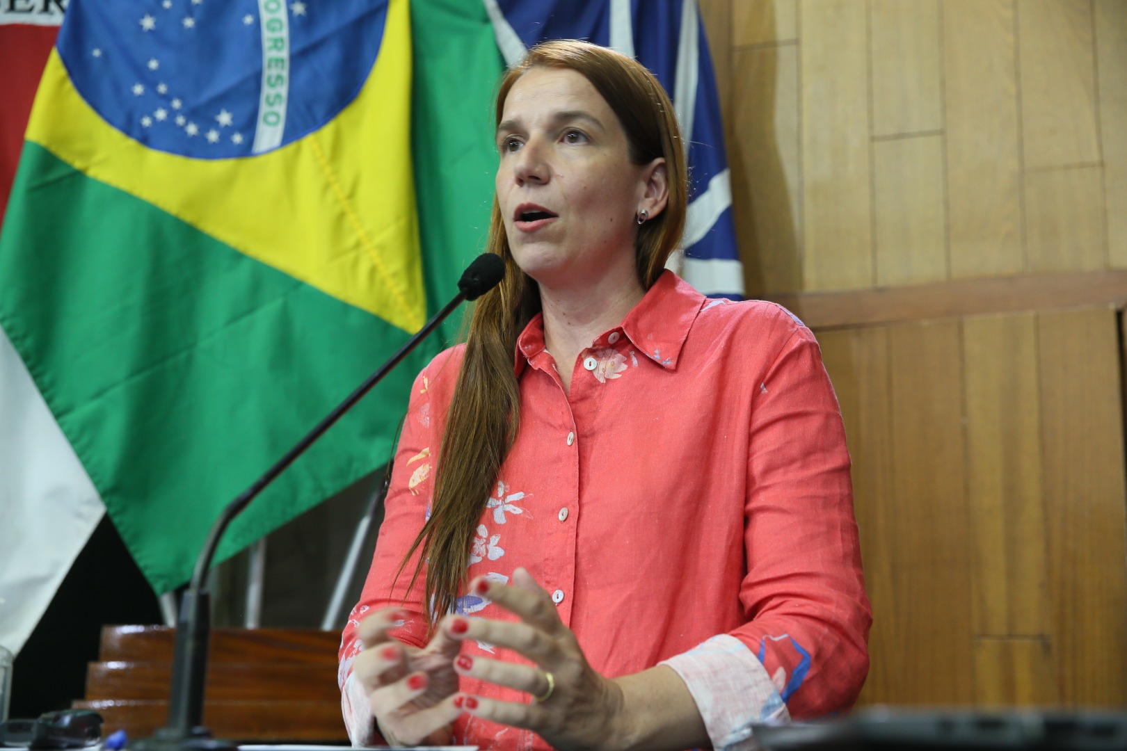 foto Aline Rezende 0025.JPG
