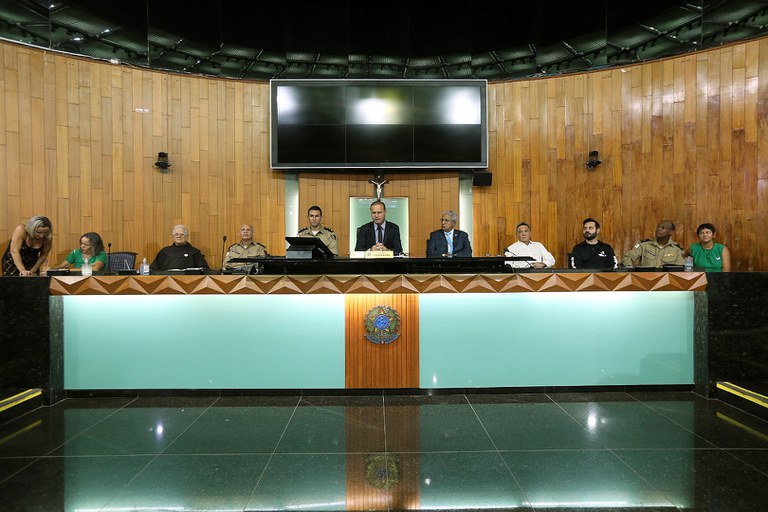 foto Aline Rezende 0009.JPG