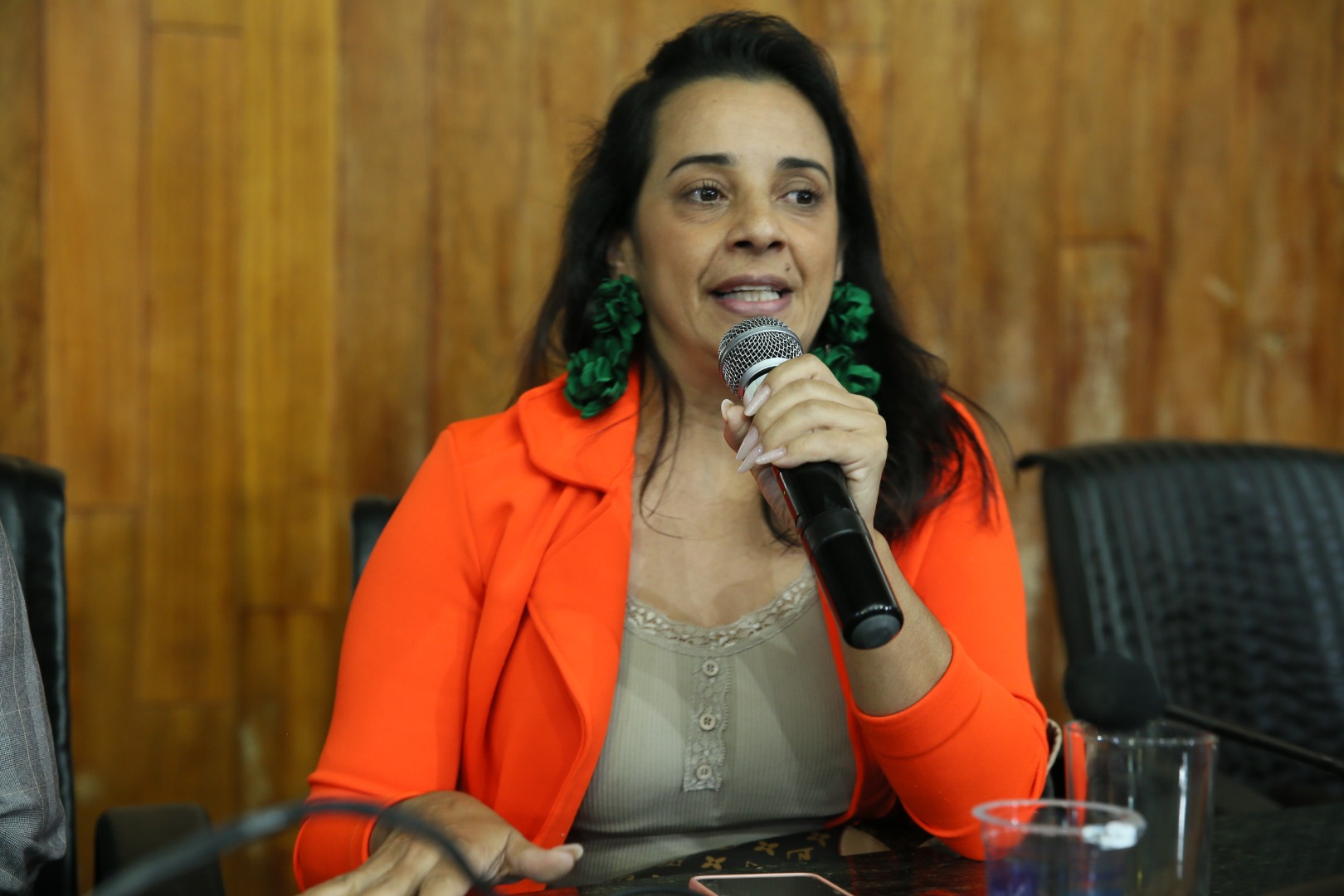 foto Aline Rezende 0031.JPG