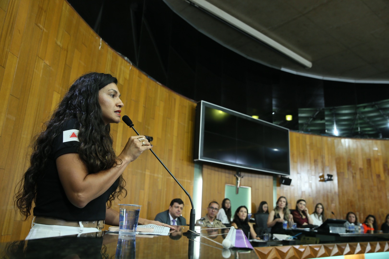 foto Aline Rezende 0049.JPG