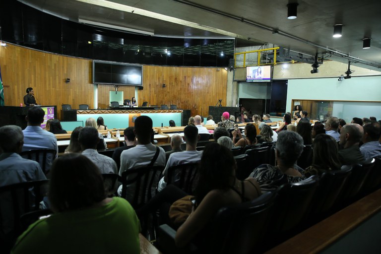 foto Aline Rezende 0008.JPG