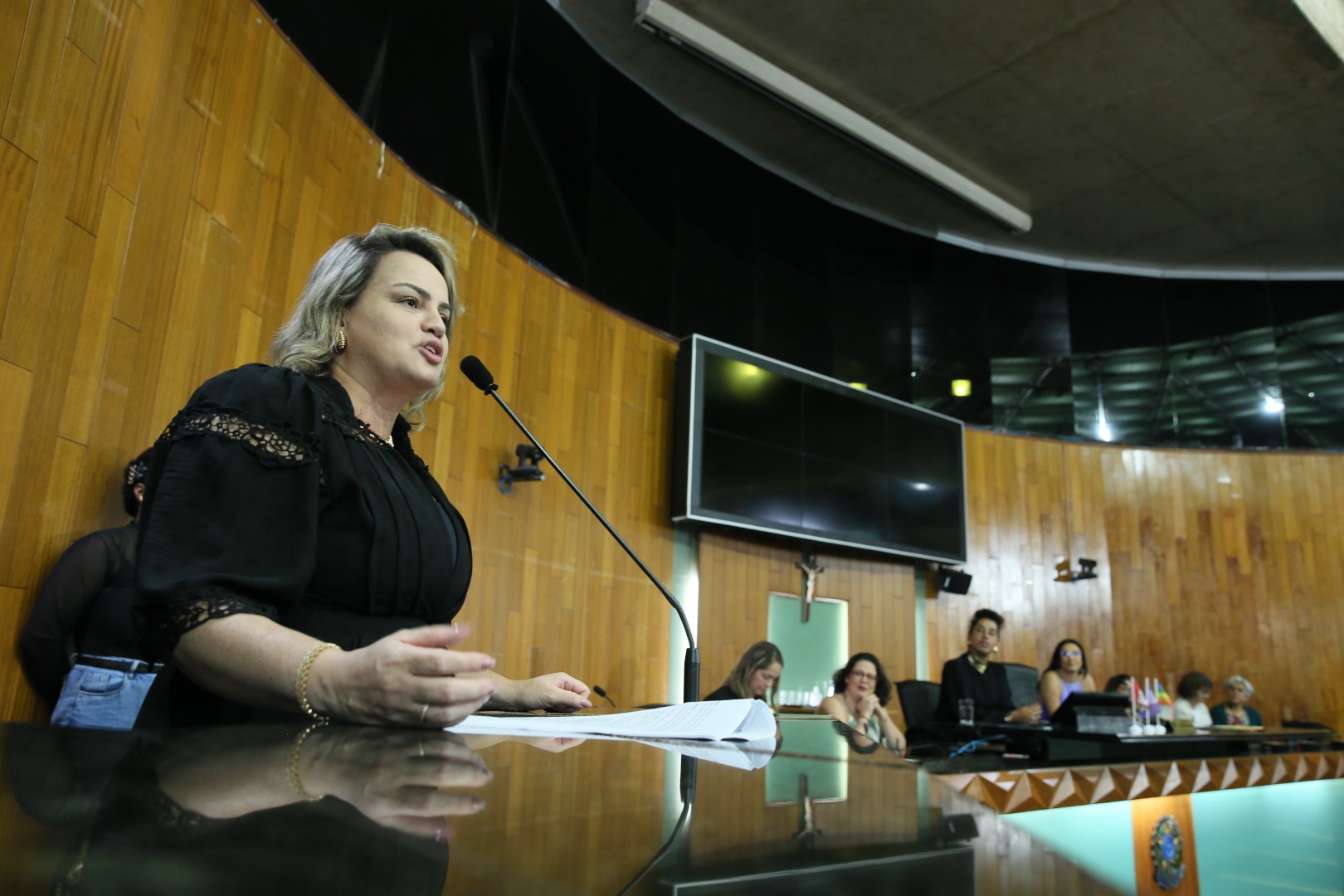 foto Aline Rezende 0030.JPG