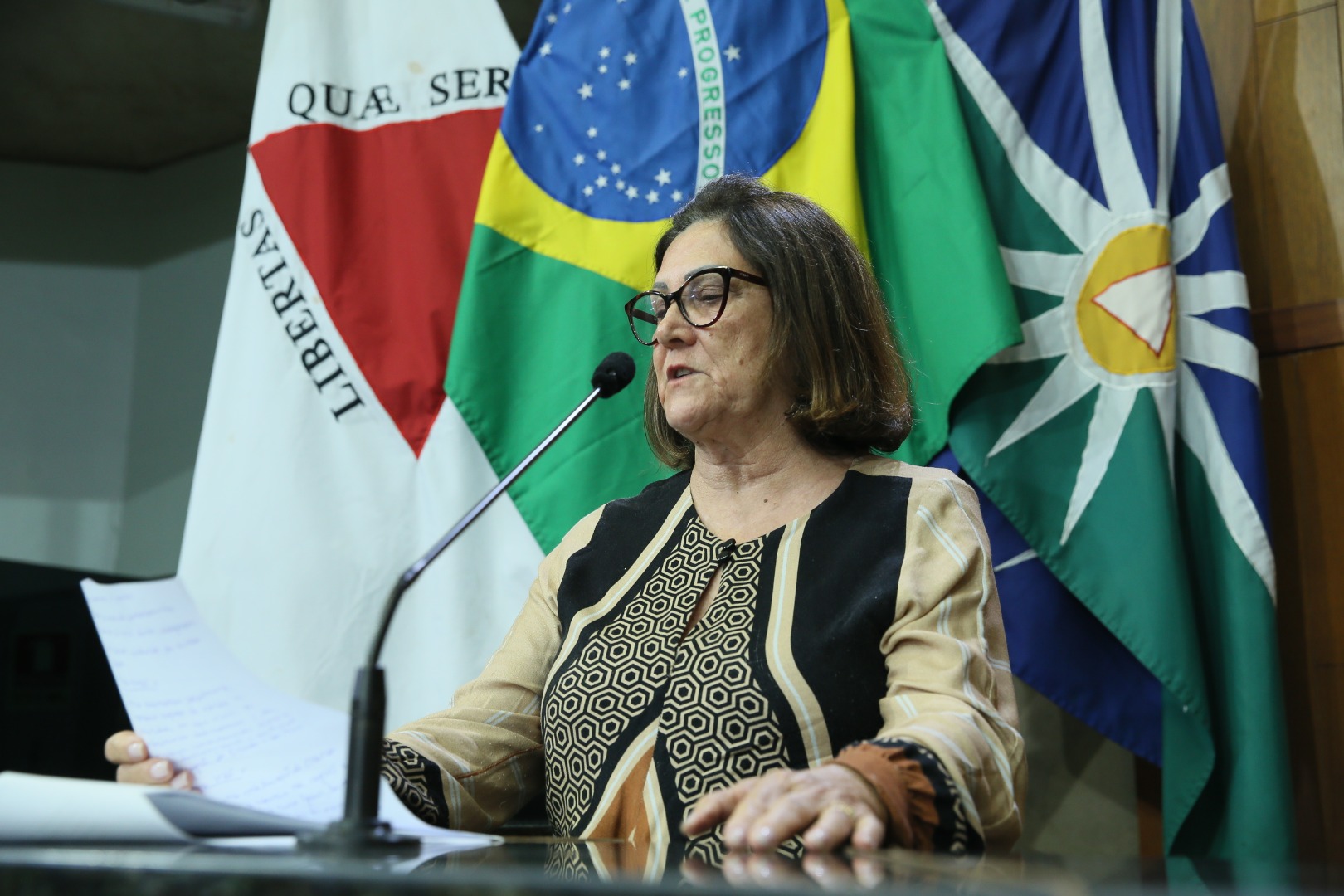 foto Aline Rezende 0031.JPG