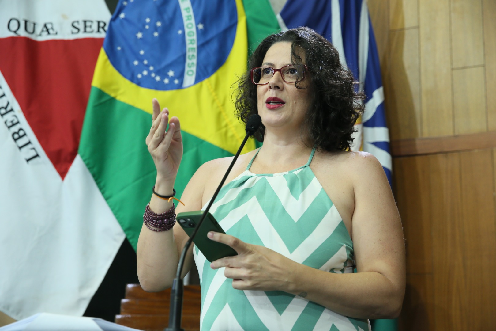 foto Aline Rezende 0033.JPG