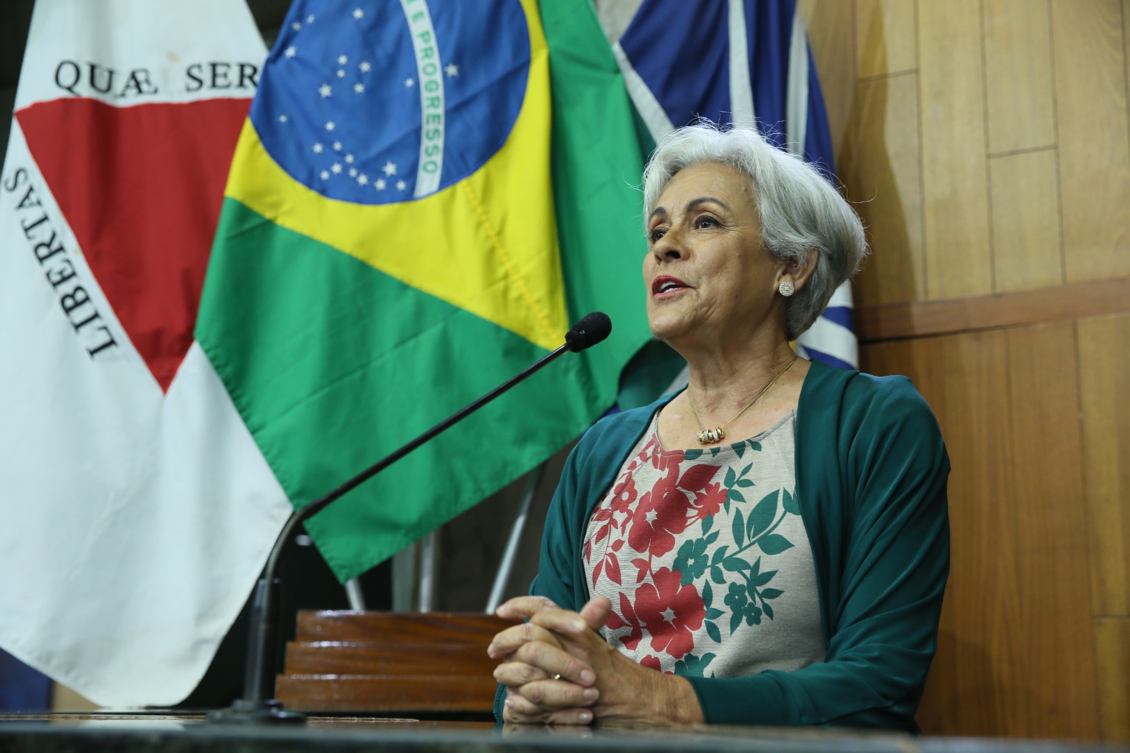 foto Aline Rezende 0035.JPG