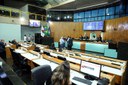  foto Aline Rezende 0039.jpg 