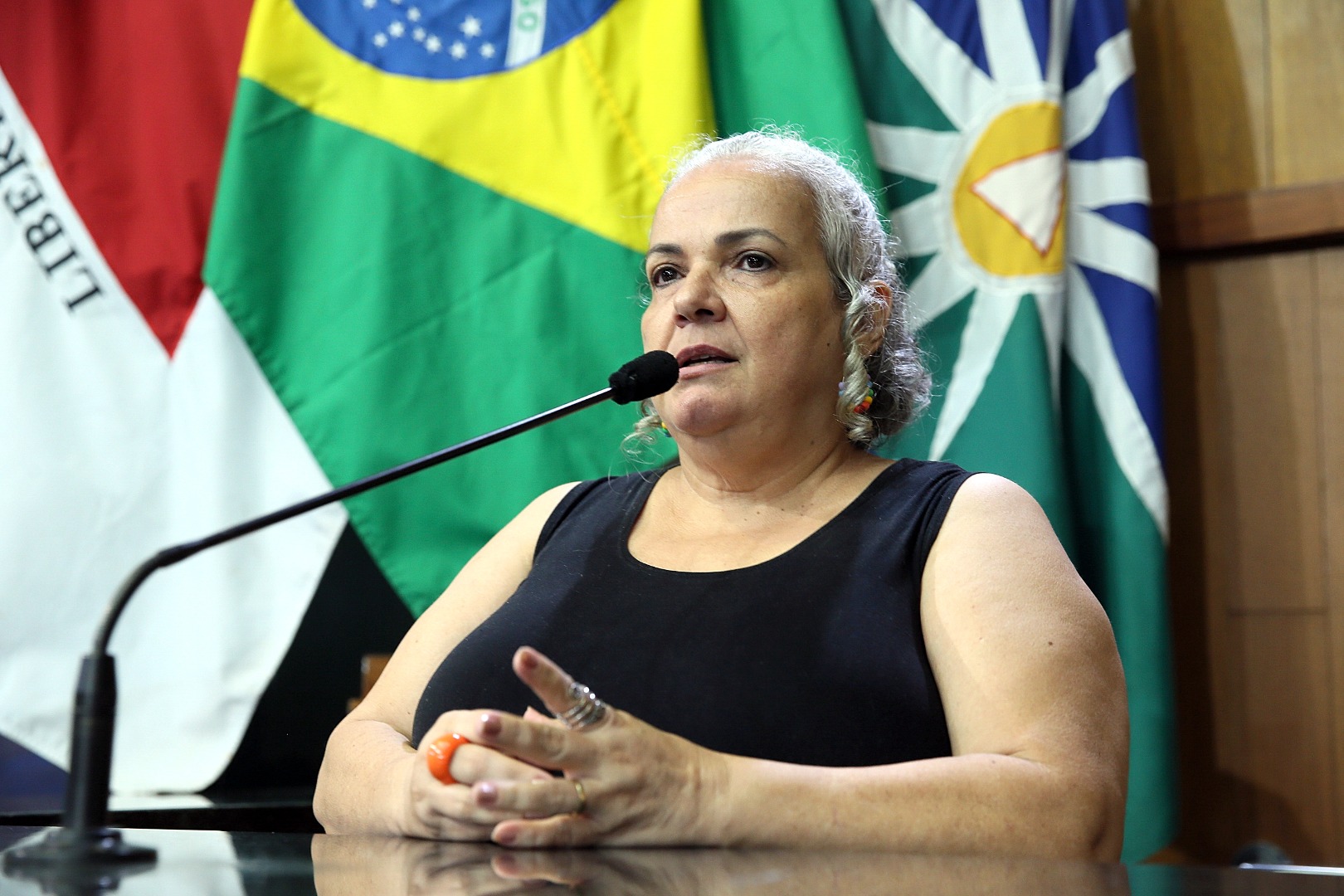 foto Aline Rezende 0021.JPG