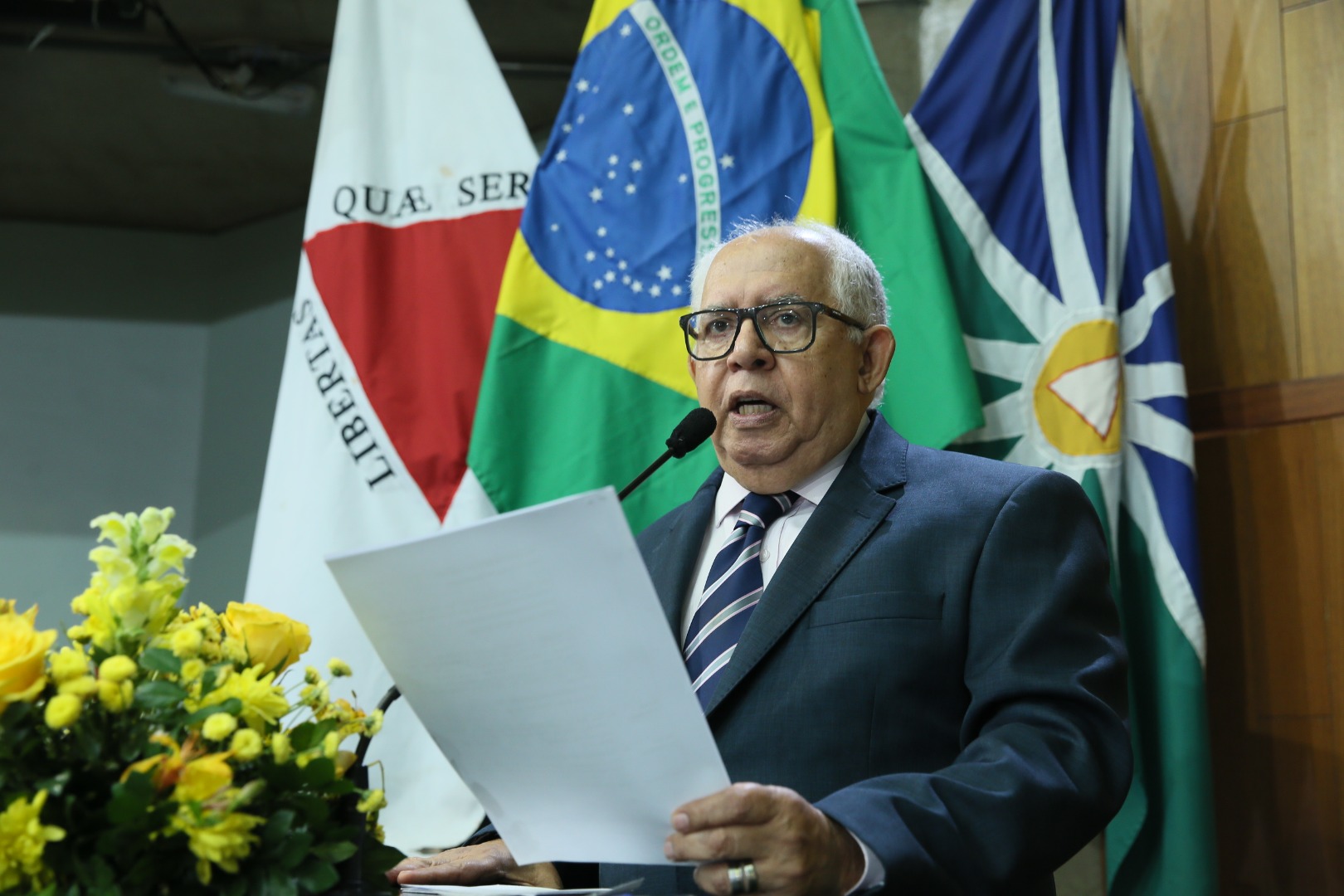 foto Aline Rezende 0002.jpg