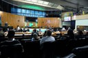  foto Aline Rezende 0087.jpg 