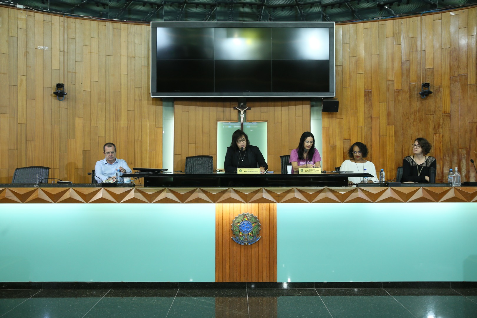 foto Aline Rezende 0008.JPG