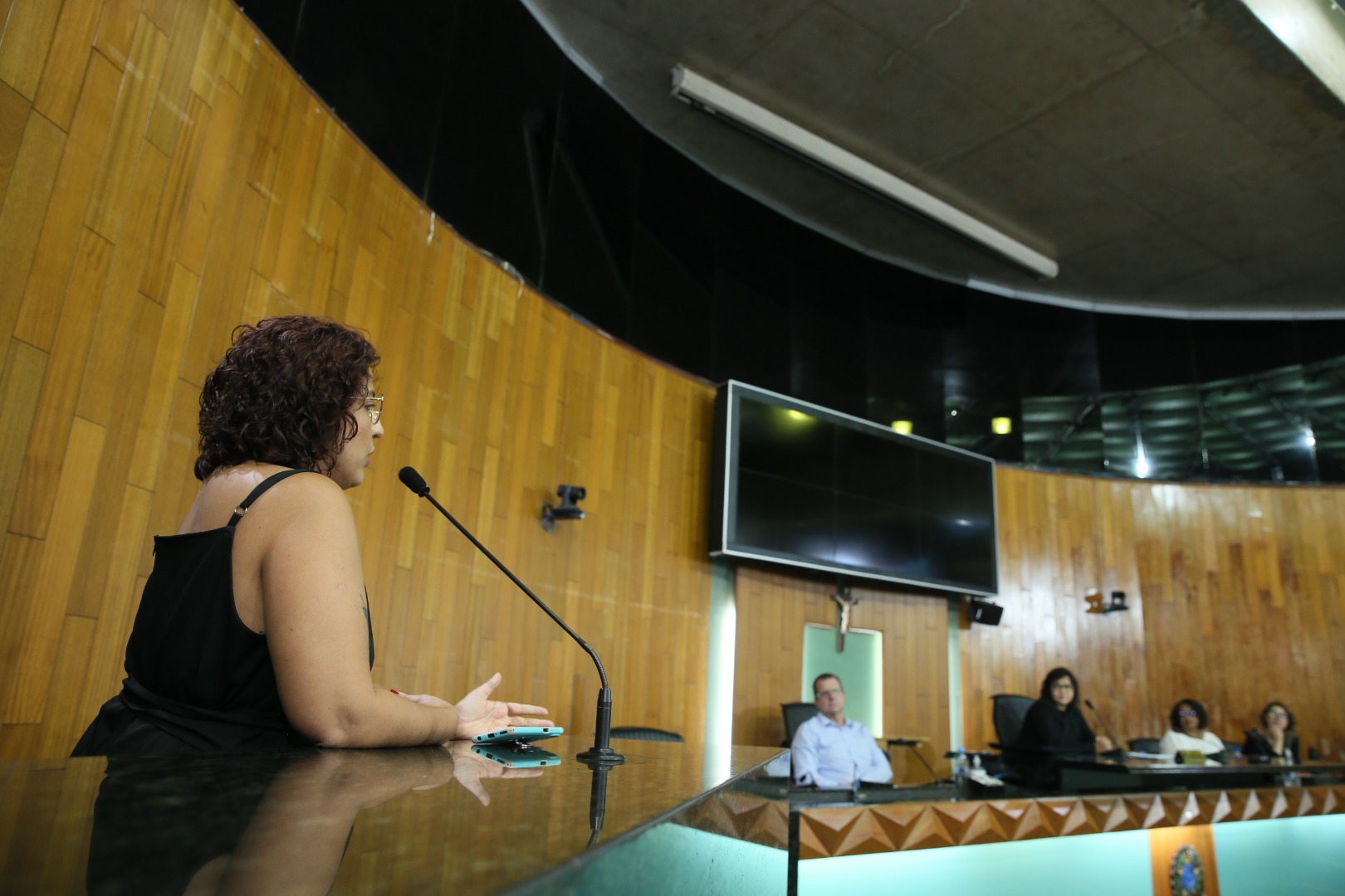 foto Aline Rezende 0025.JPG