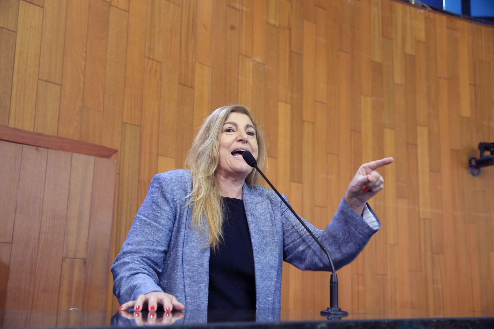 foto Aline Rezende 0057.JPG