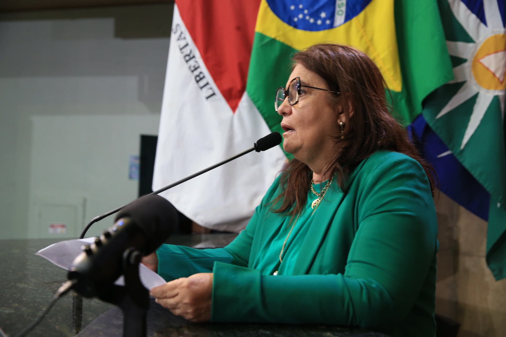 foto Aline Rezende 0018.JPG