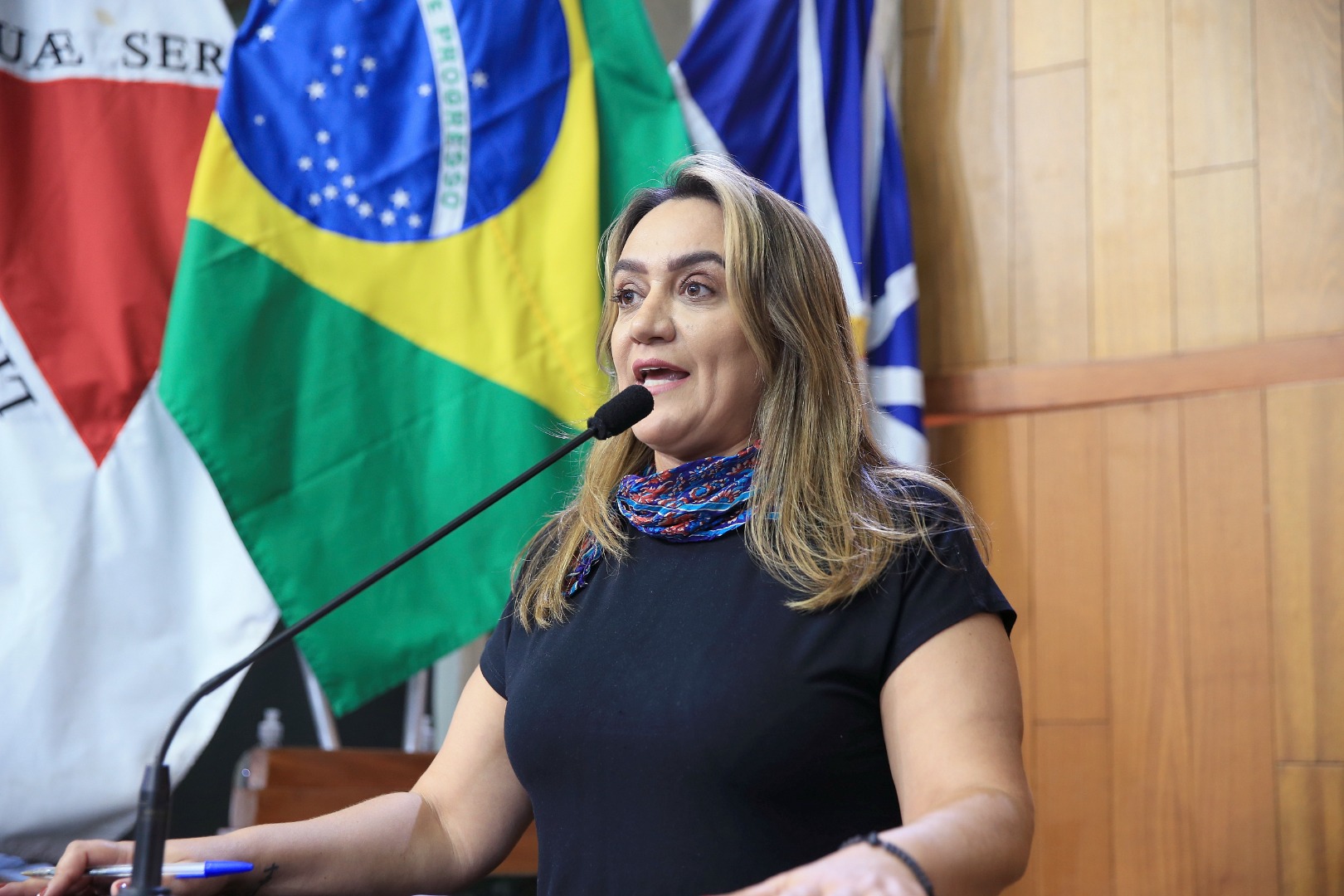 foto Aline Rezende 0078.JPG