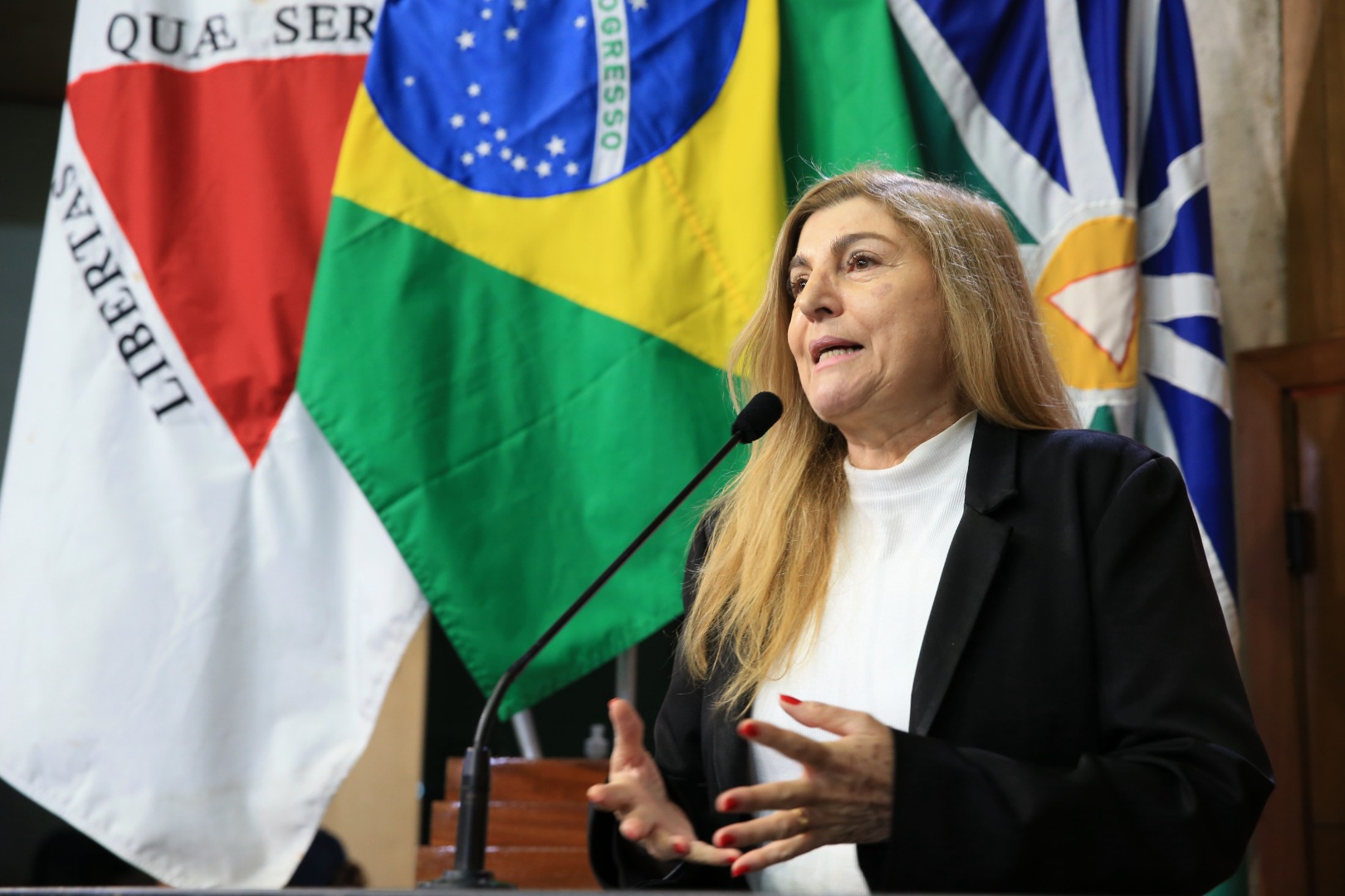 foto Aline Rezende 0085.JPG