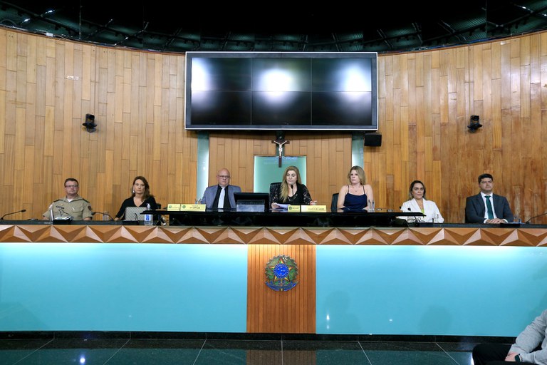 foto Aline Rezende 0019.JPG