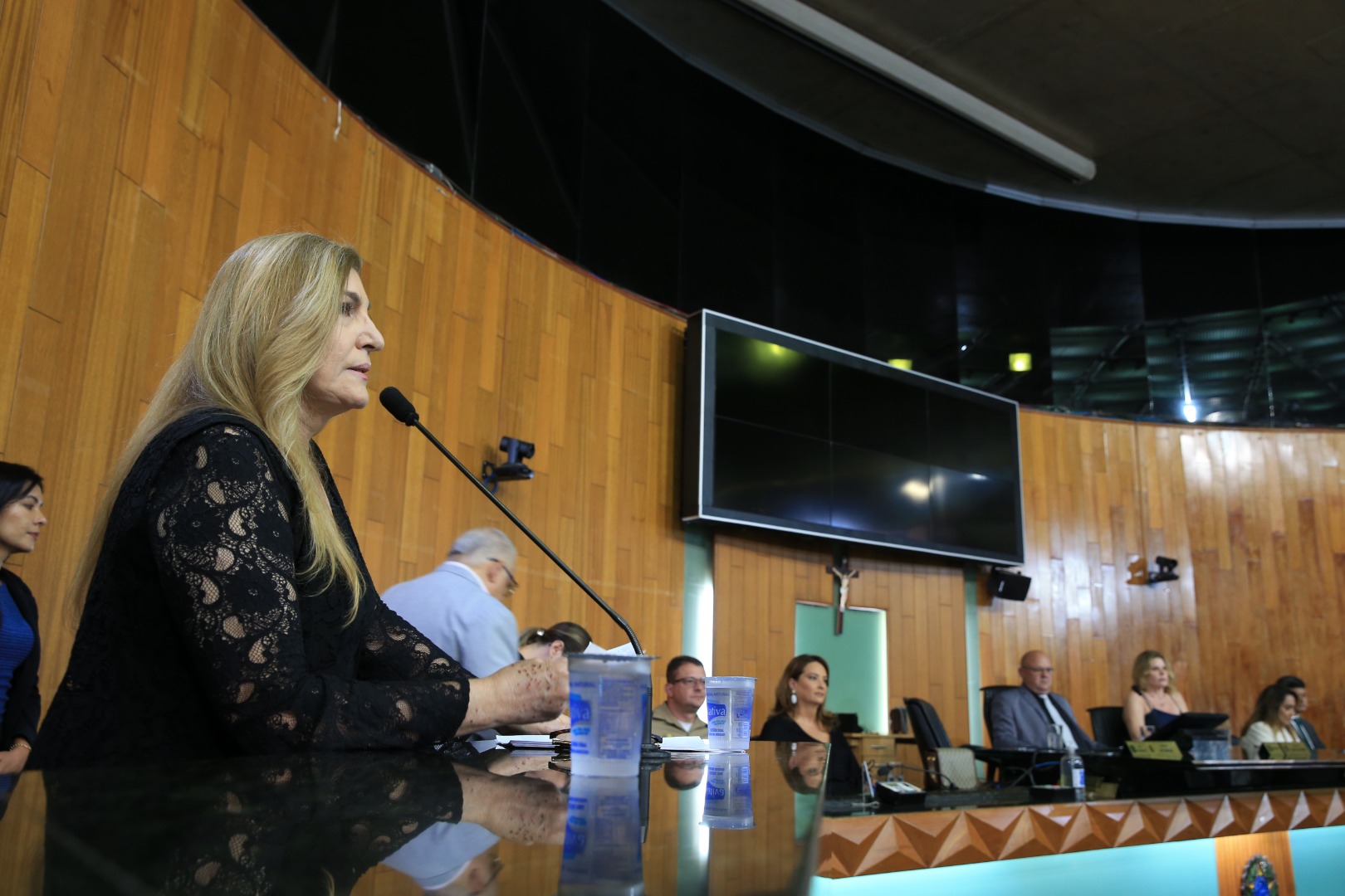 foto Aline Rezende 0027.JPG