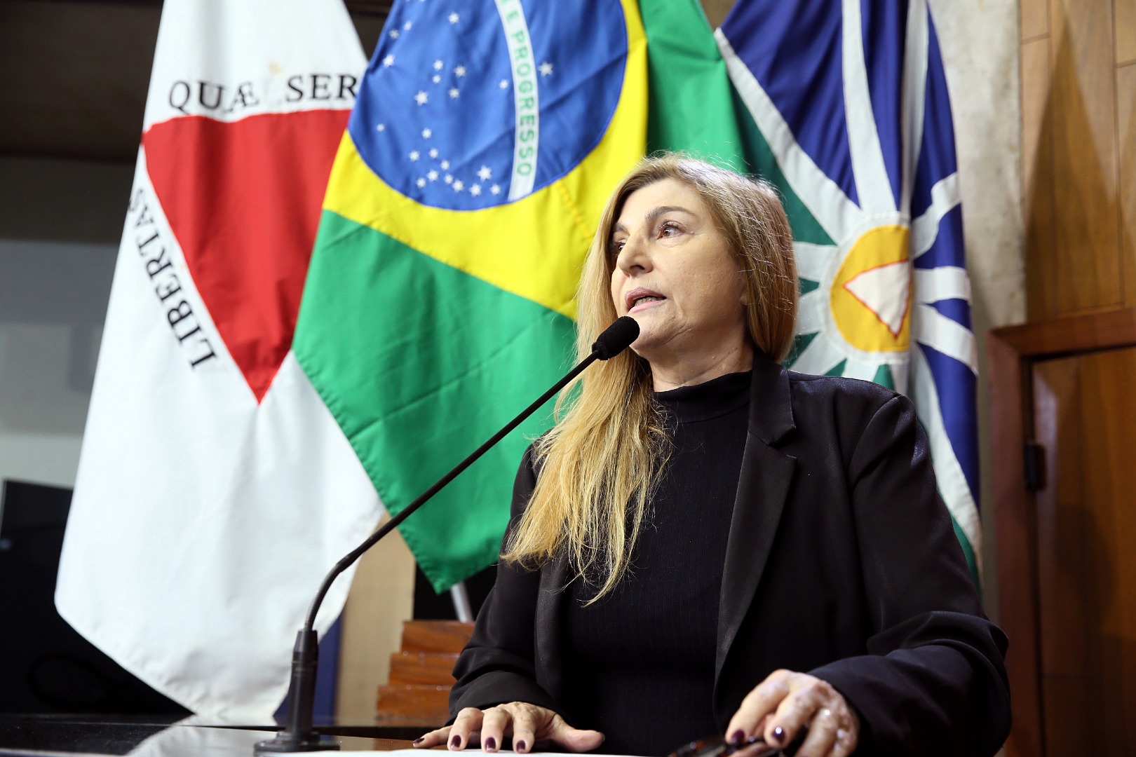 foto Aline Rezende 0020.jpg