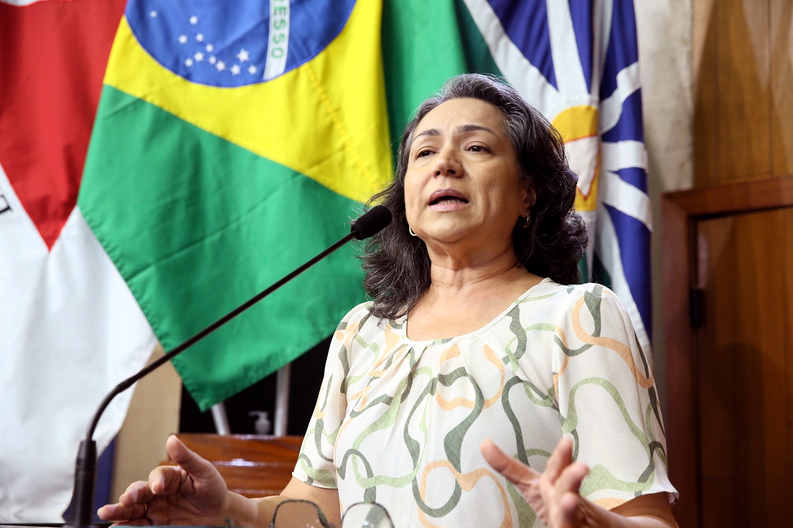 foto Aline Rezende 0057.jpg