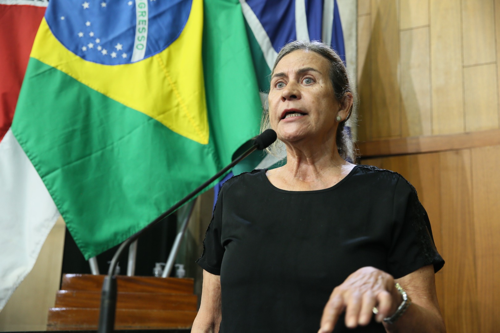 foto Aline Rezende 0061.jpg