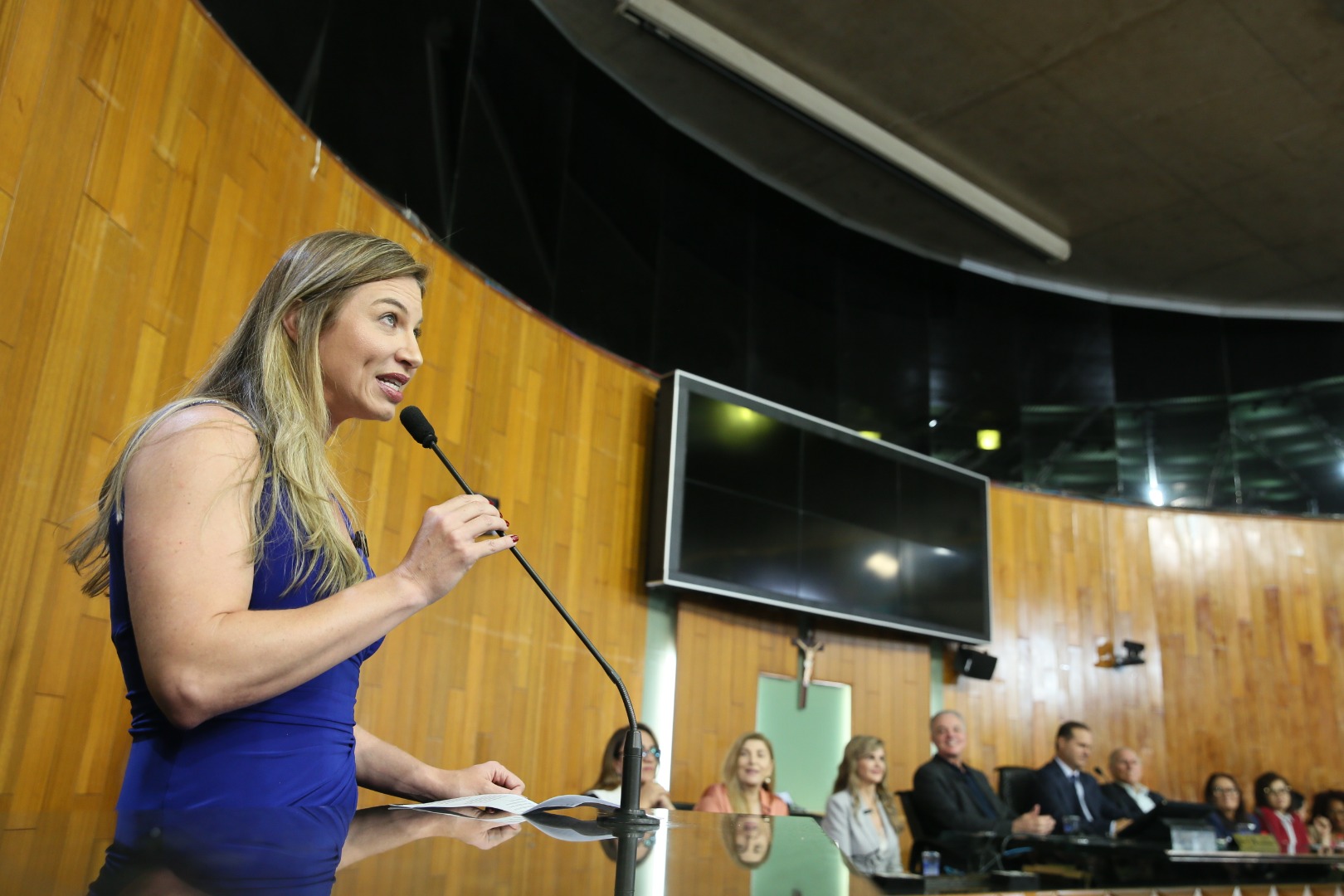 foto Aline Rezende 0034.JPG