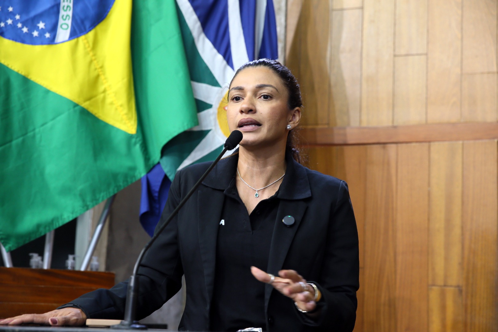 foto Aline Rezende 0078.JPG