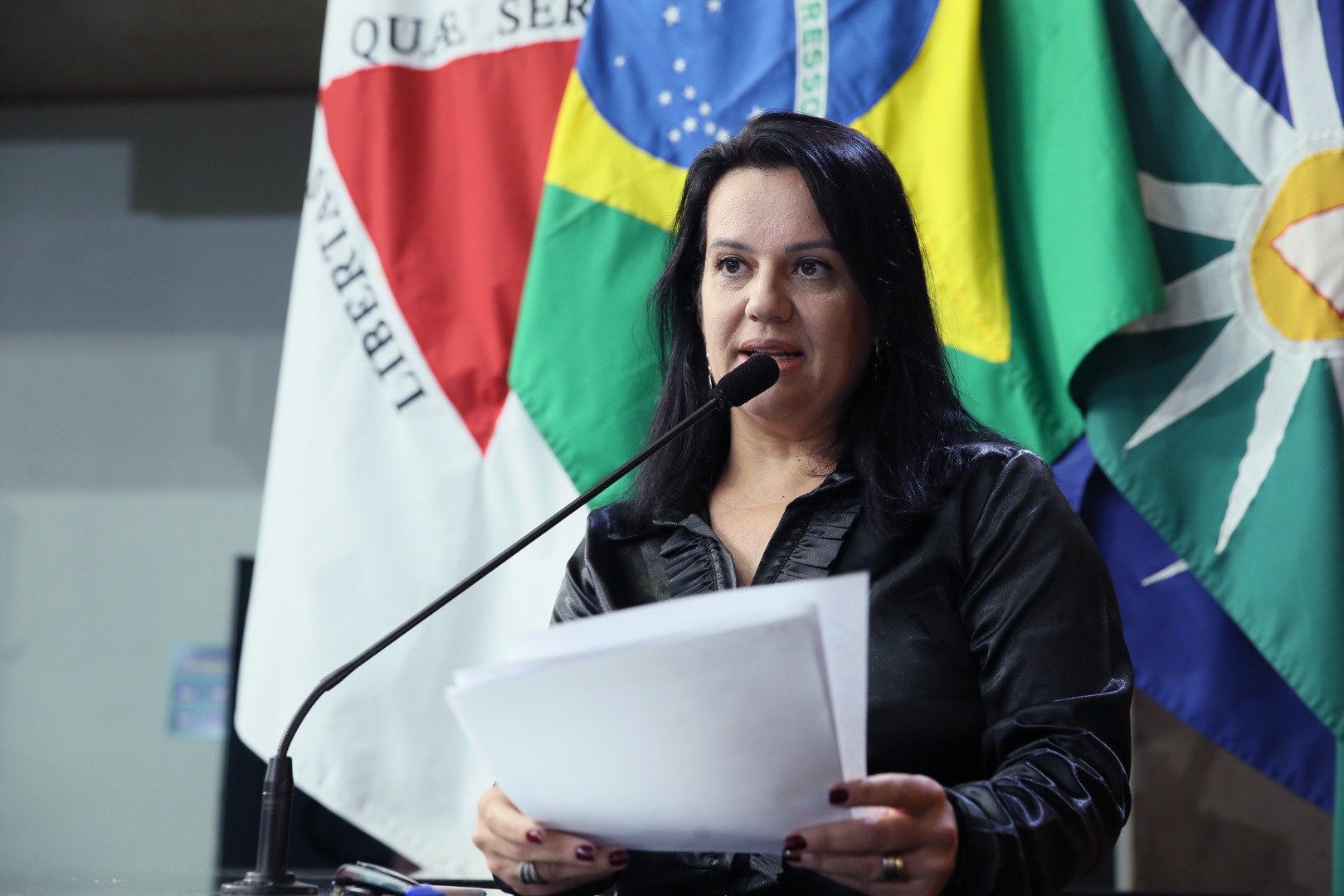 foto Aline Rezende 0060.JPG