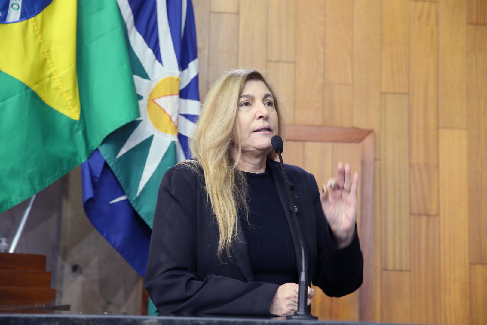 foto Aline Rezende 0063.JPG