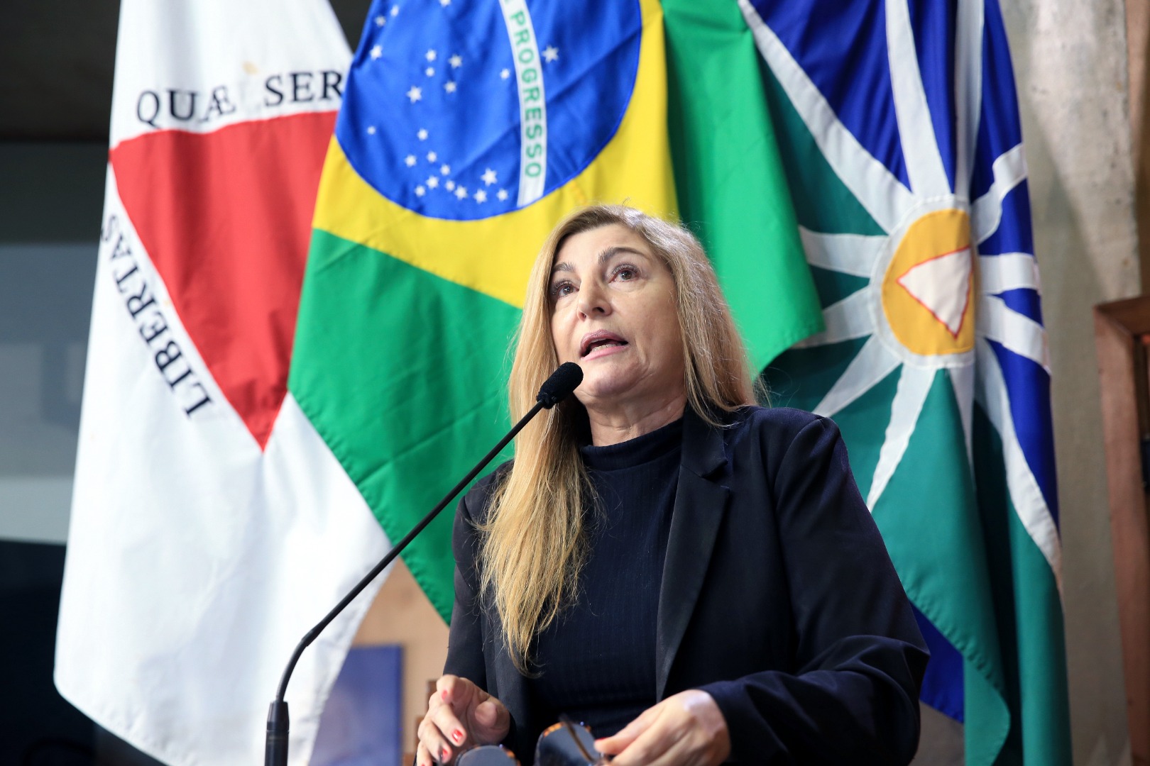 foto Aline Rezende 0044.JPG