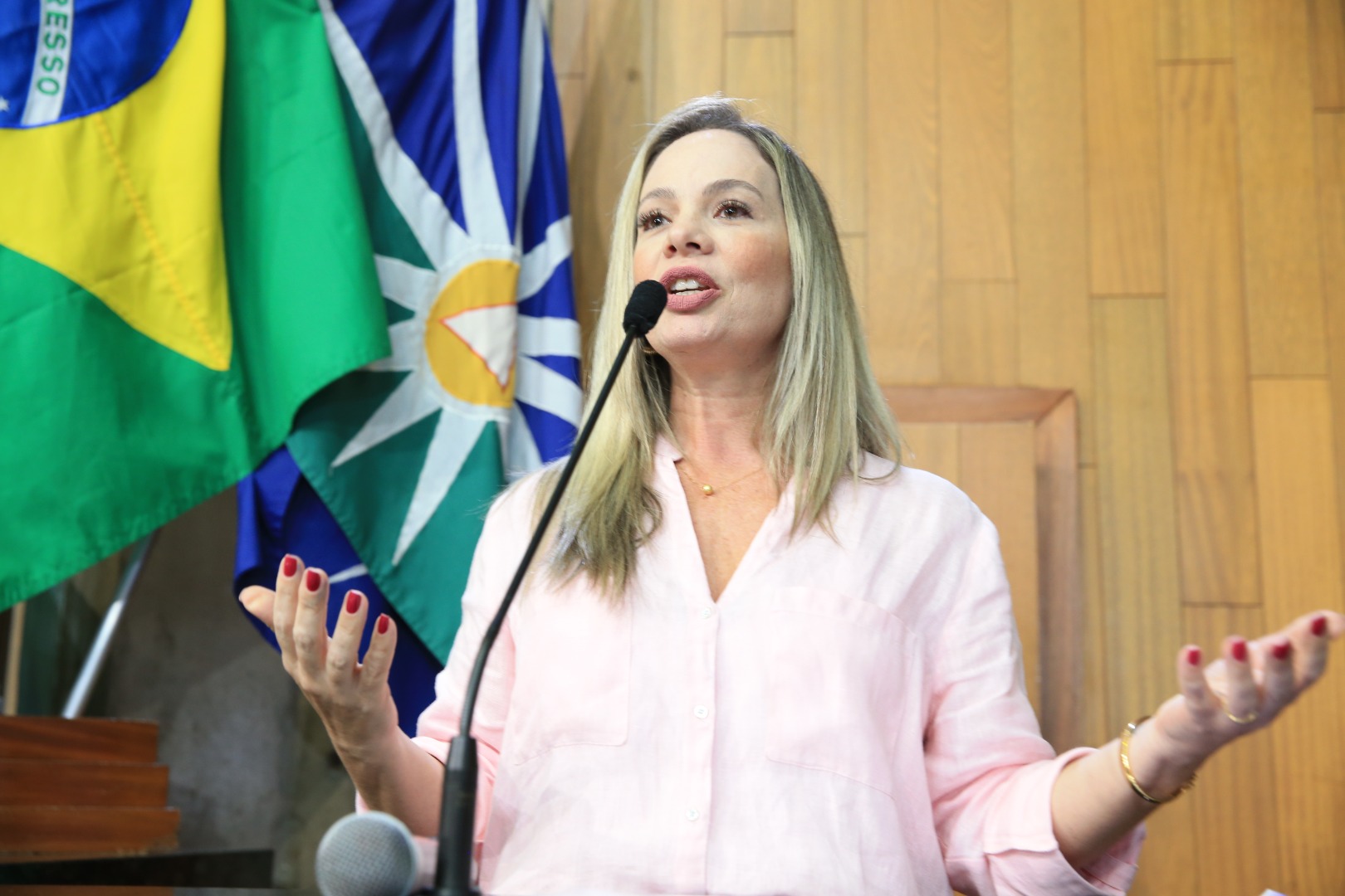foto Aline Rezende 0026.JPG