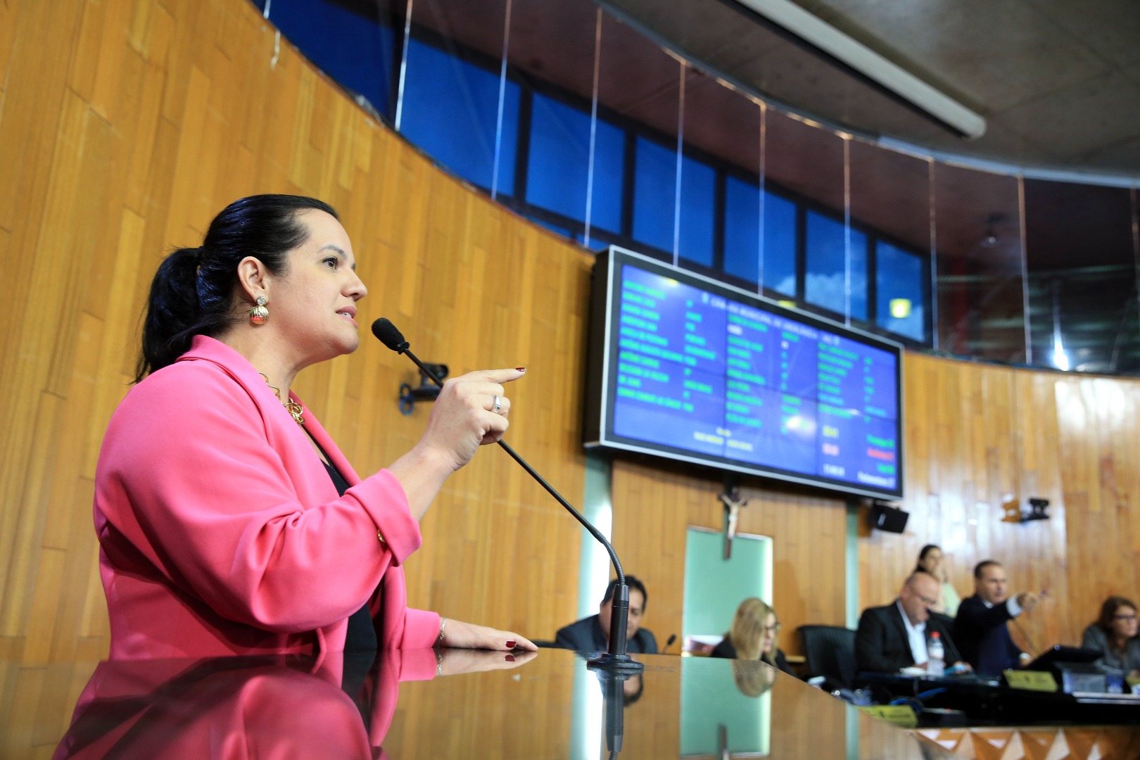 foto Aline Rezende 0064.JPG