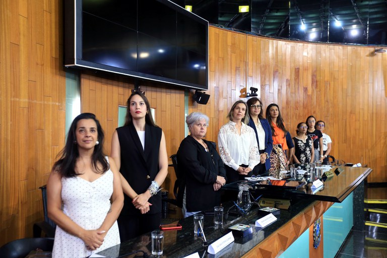 foto Aline Rezende 0007.JPG