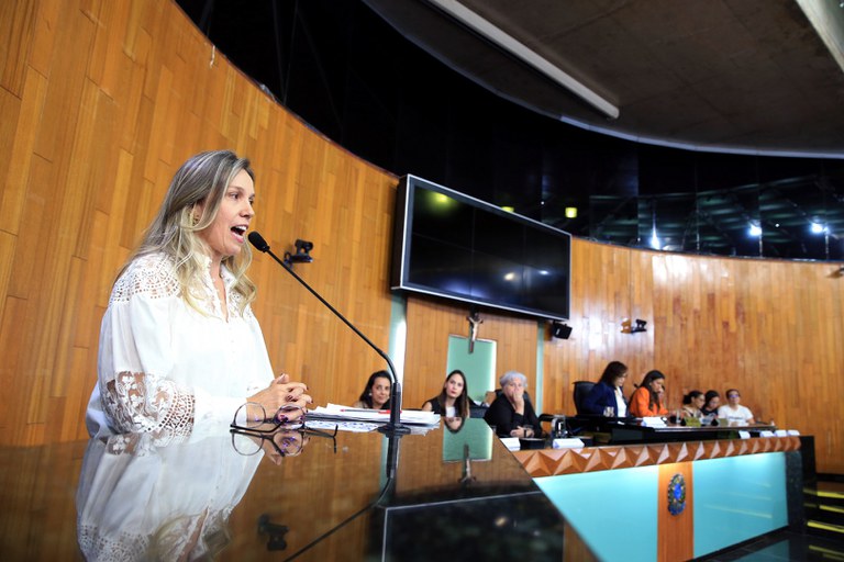 foto Aline Rezende 0021.JPG