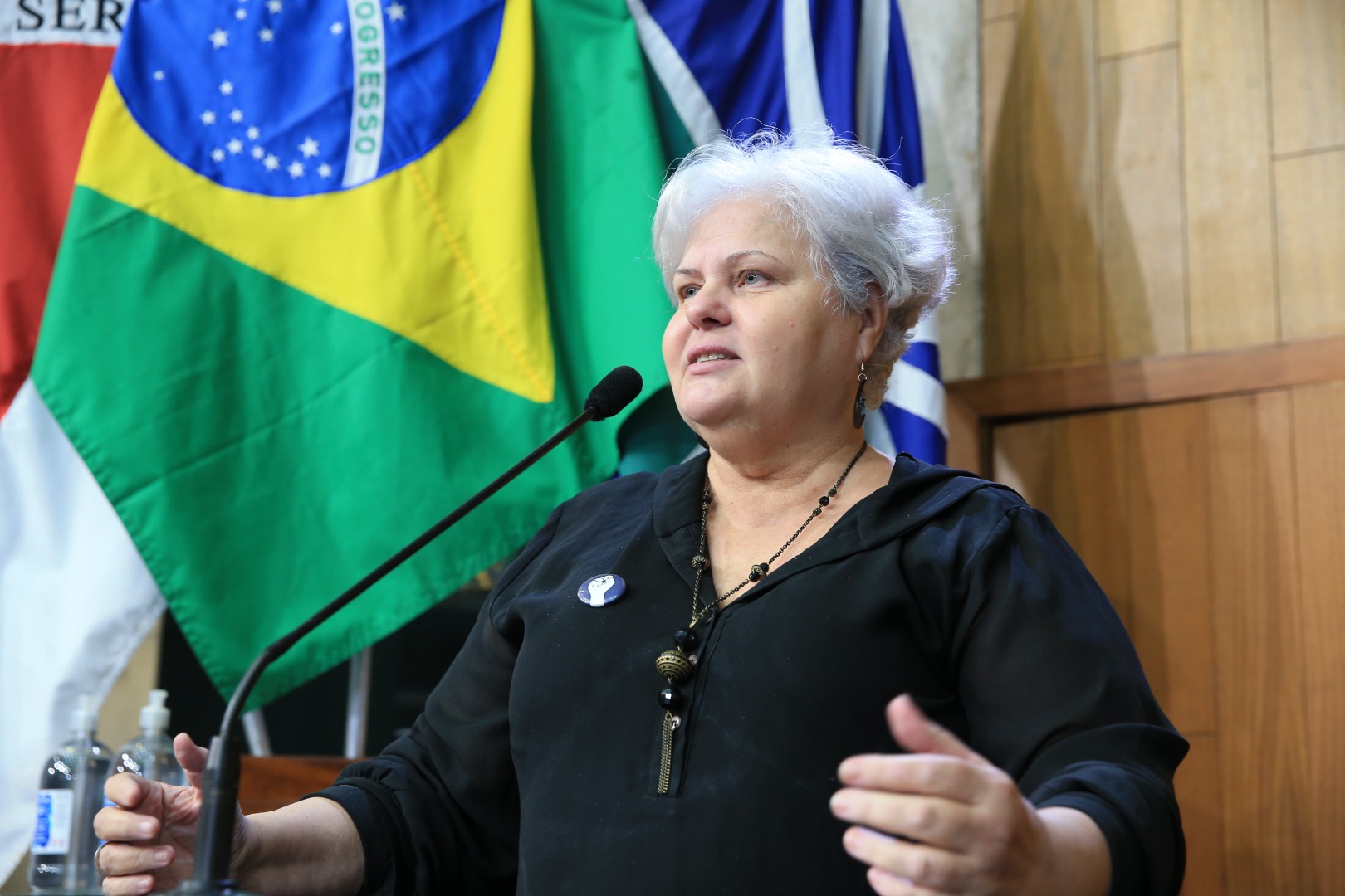foto Aline Rezende 0022.JPG
