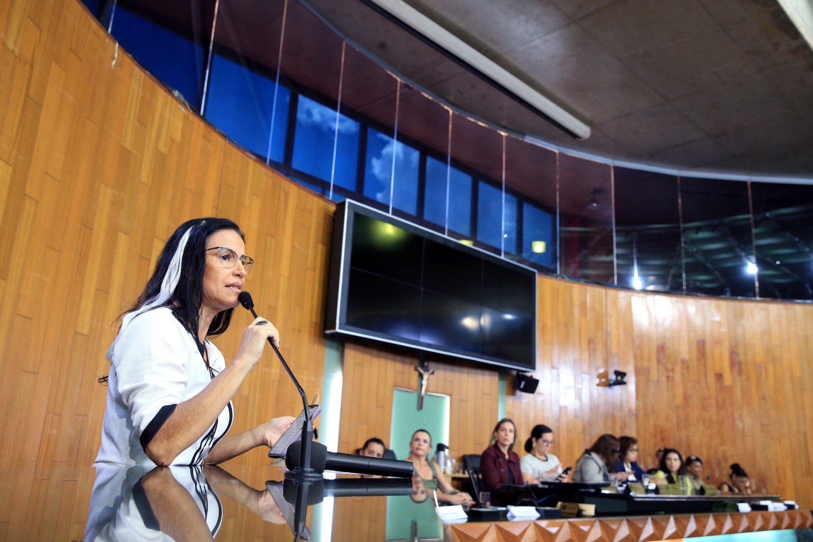 foto Aline Rezende 0048.JPG
