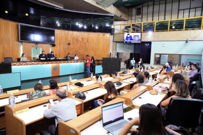 foto Aline Rezende 0013.JPG