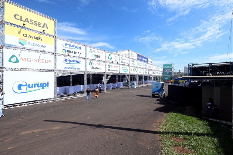 foto Aline Rezende 0007.JPG