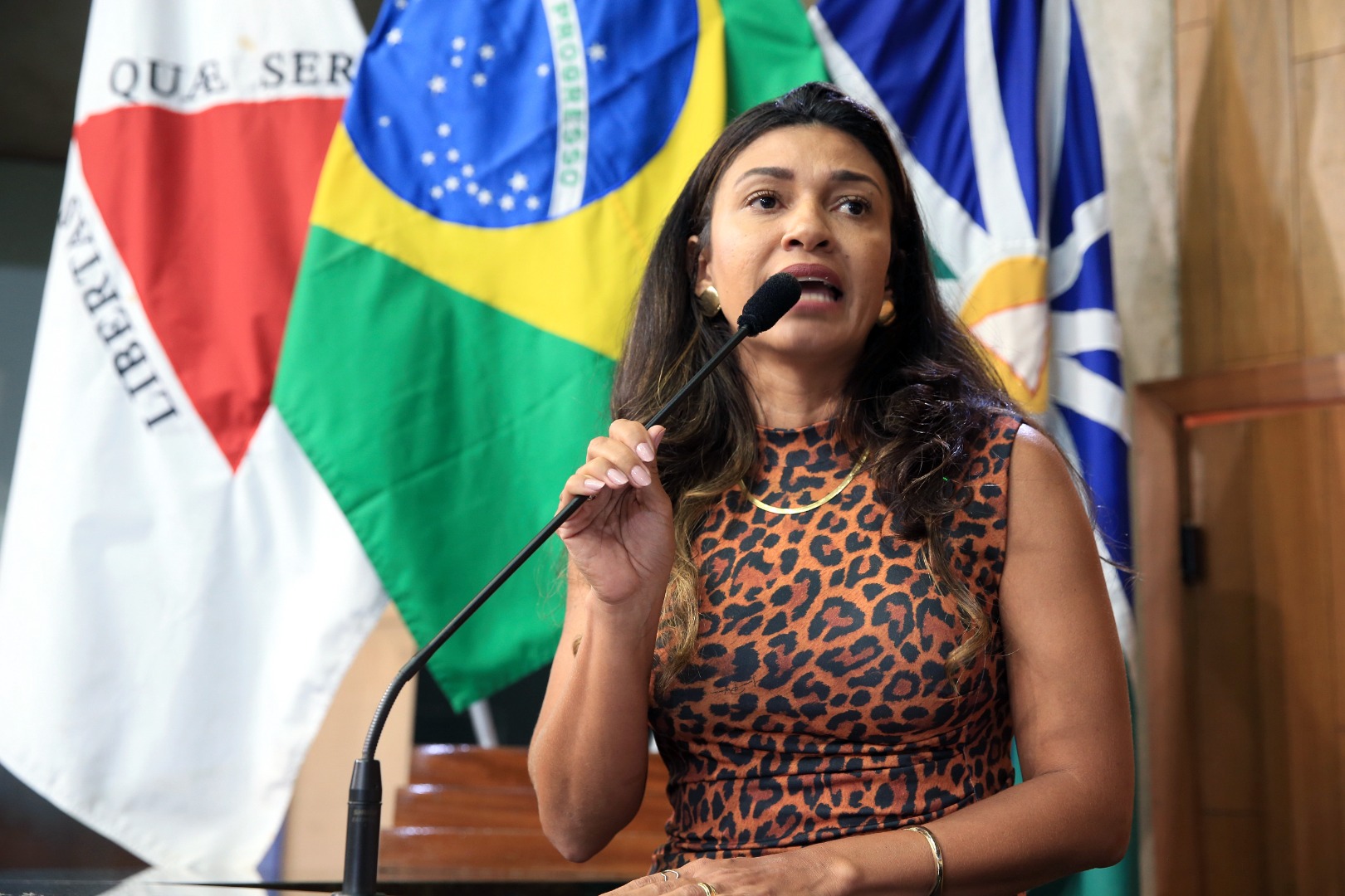 foto Aline Rezende 0078.JPG