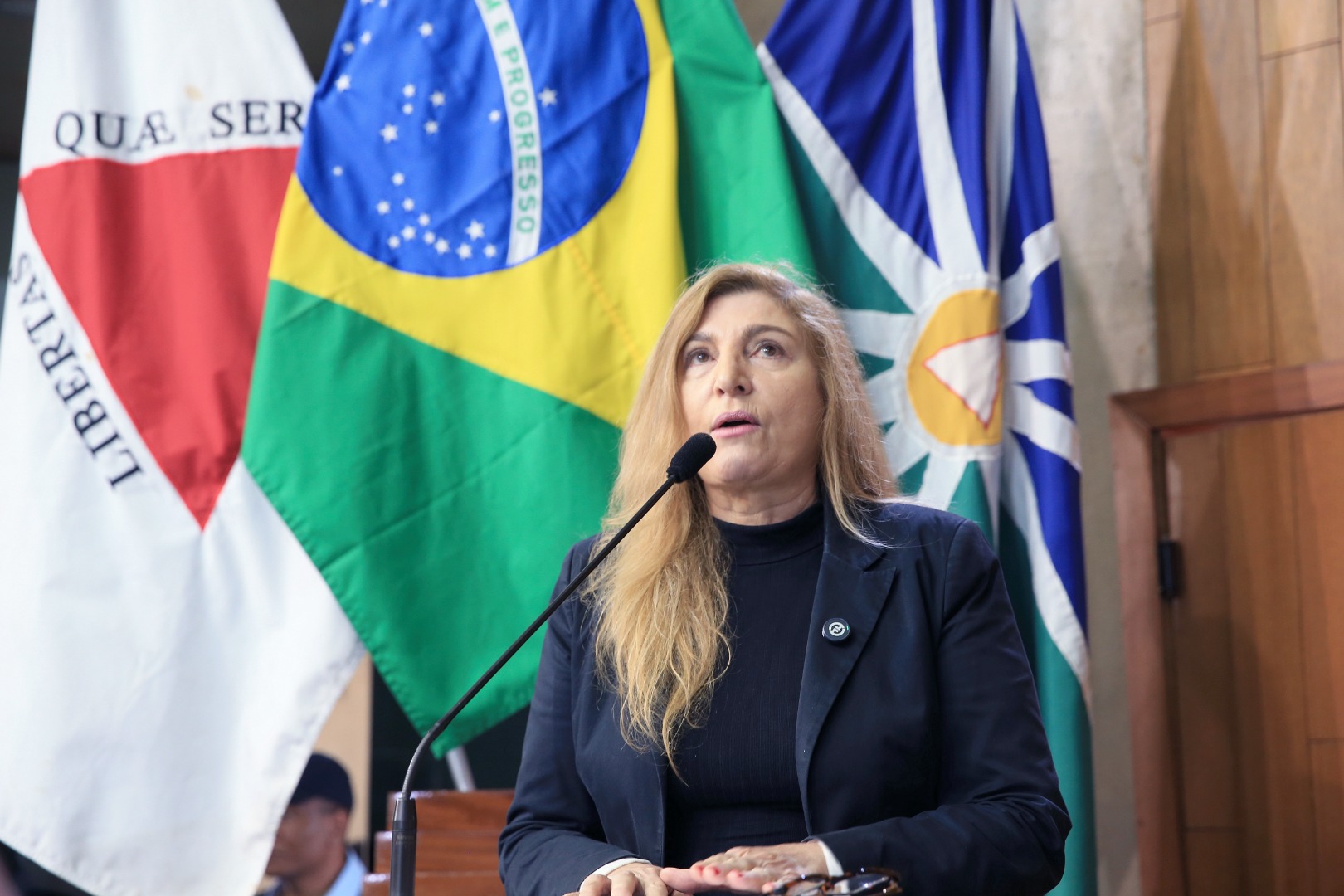foto Aline Rezende 0010.JPG