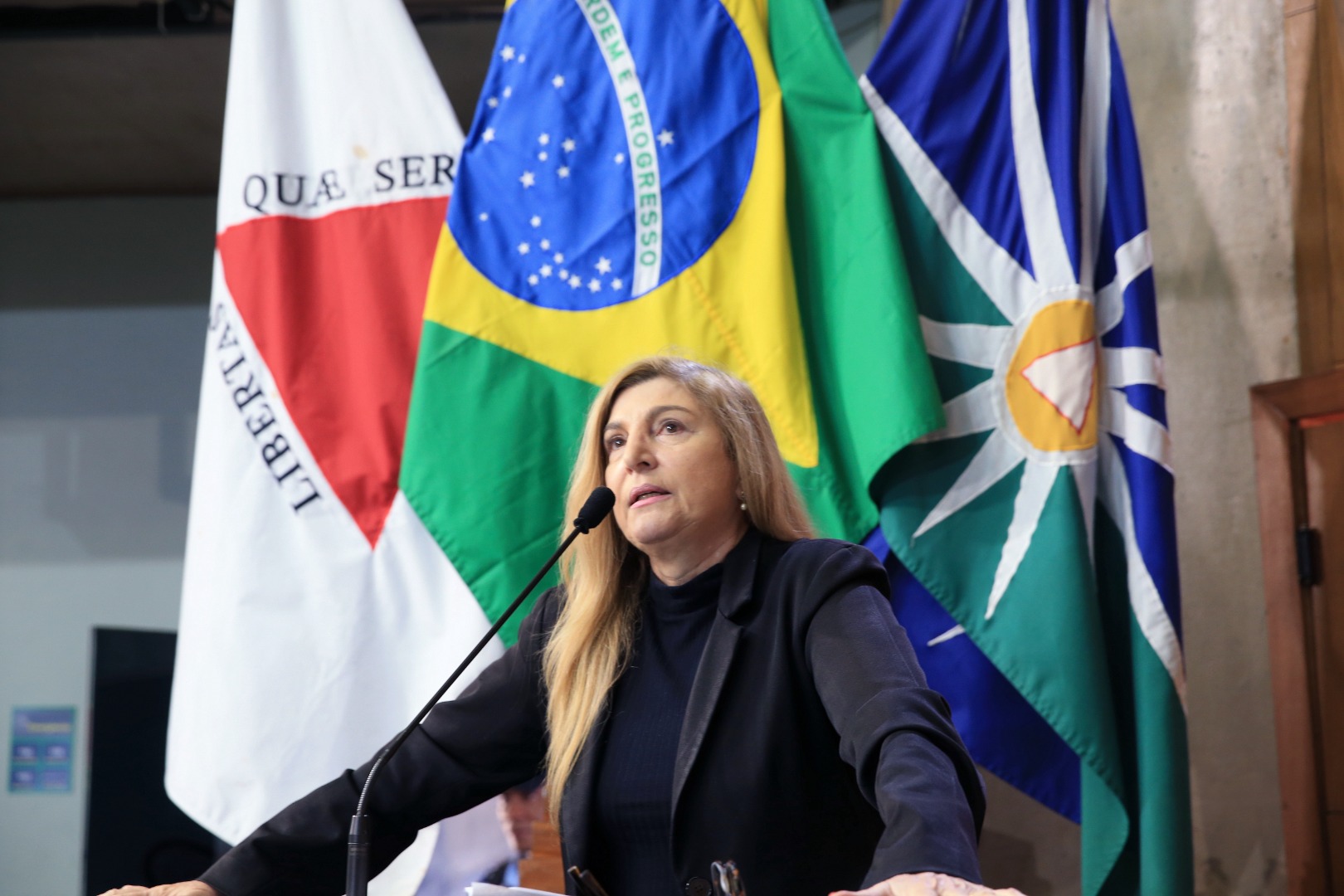 foto Aline Rezende 0048.jpg