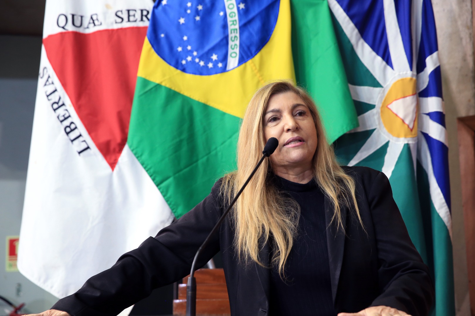 foto Aline Rezende 0080.JPG