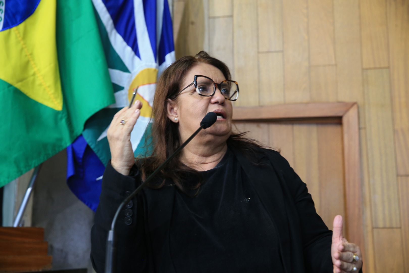 foto Aline Rezende 0020.JPG