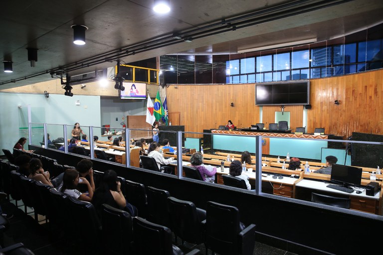 foto Aline Rezende 0013.JPG