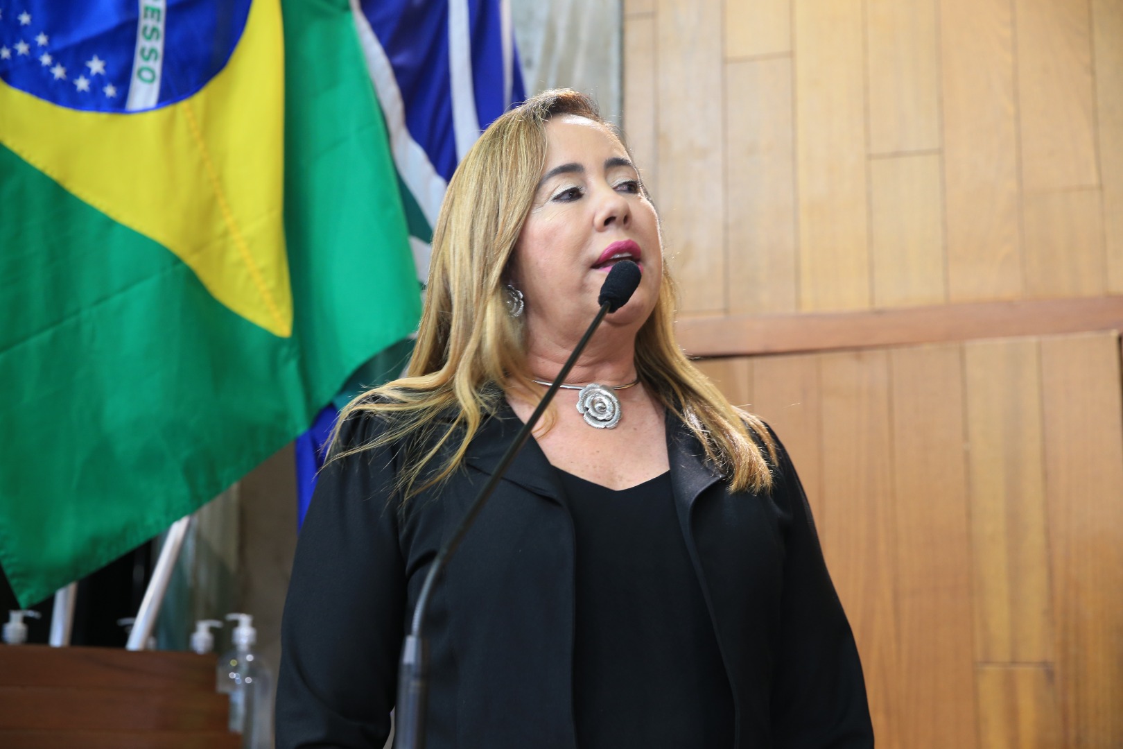 foto Aline Rezende 0087.JPG