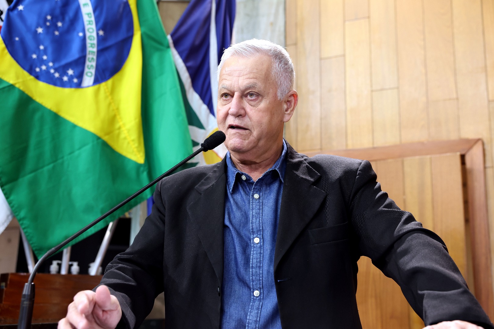 foto Aline Rezende 0003.JPG