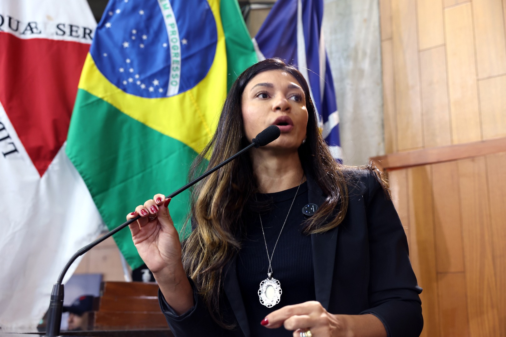 foto Aline Rezende 0023.JPG