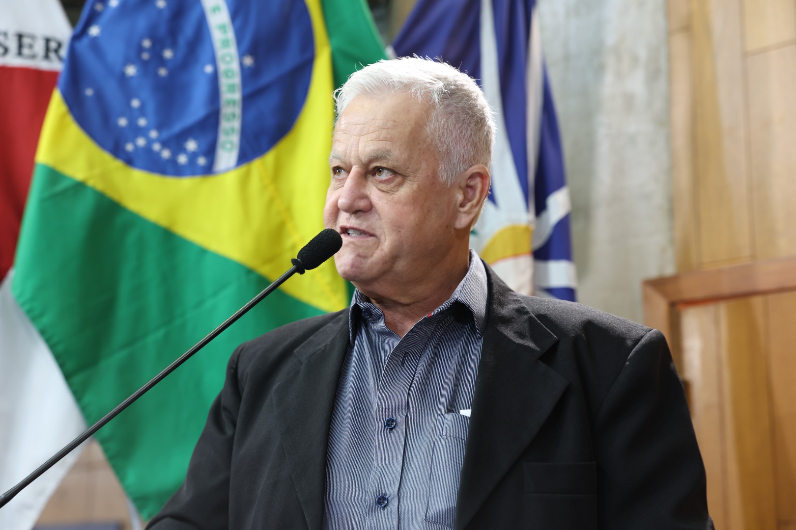 foto Aline Rezende 0061.JPG