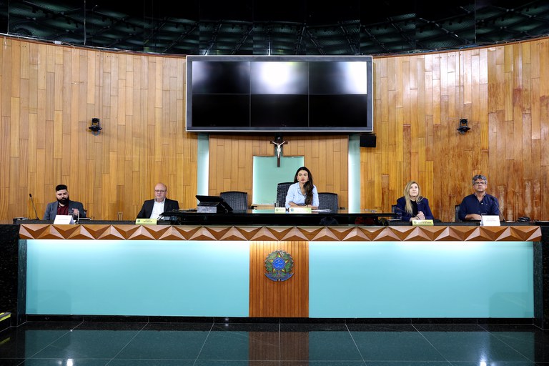 foto Aline Rezende 0006.JPG