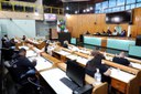  foto Aline Rezende 0041.JPG 