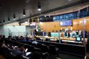  foto Aline Rezende 0001.JPG 